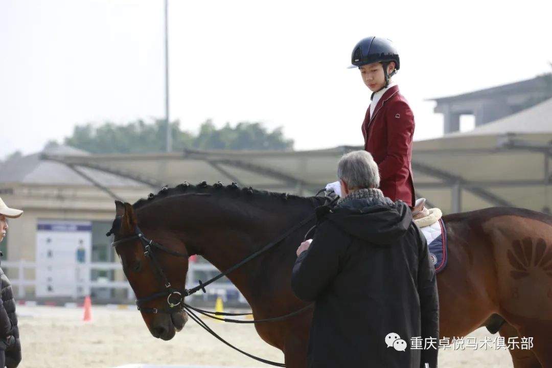 重慶卓悅馬會(huì)—德國(guó)馬協(FN)騎手等級認證通(tōng)知(zhī)